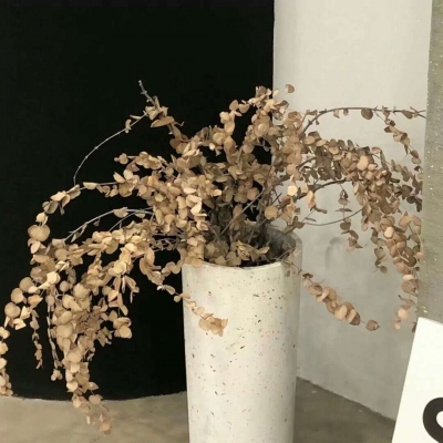 Furry插画色彩灵感Furry群